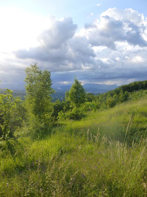 Bed and Breakfast La Casetta Del Tiglio Arcugnano Zewnętrze zdjęcie