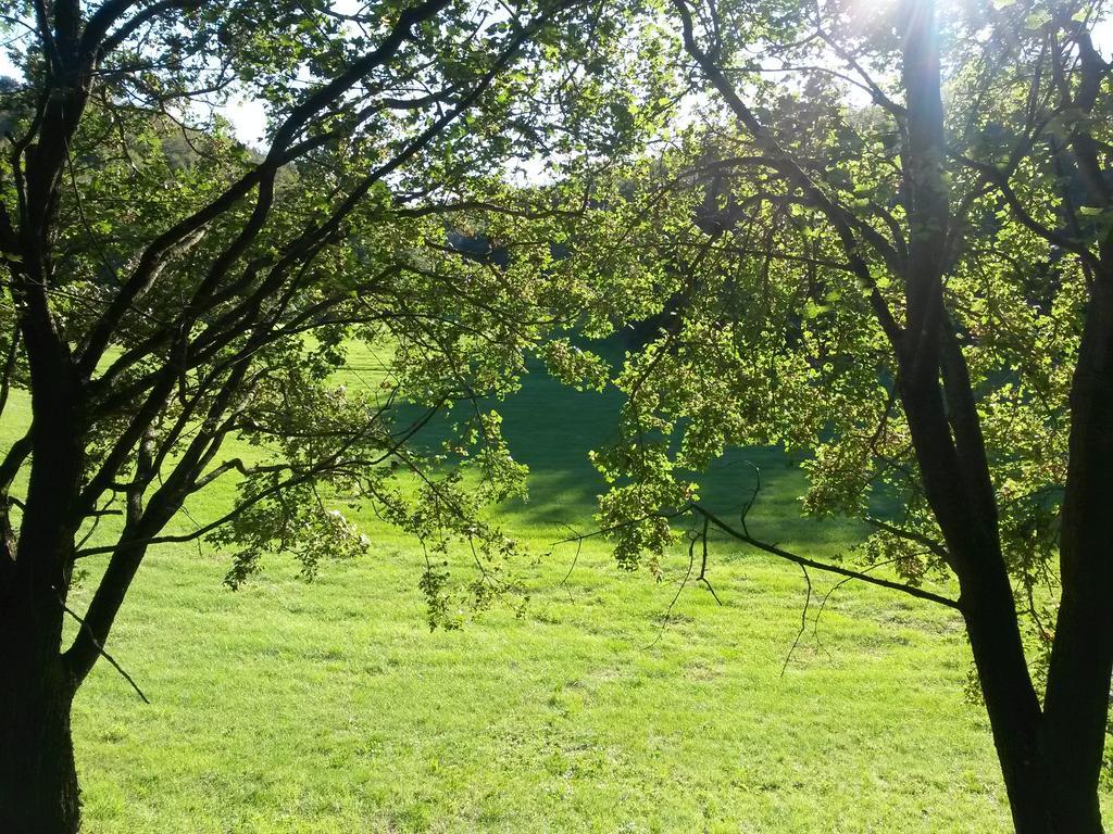 Bed and Breakfast La Casetta Del Tiglio Arcugnano Zewnętrze zdjęcie